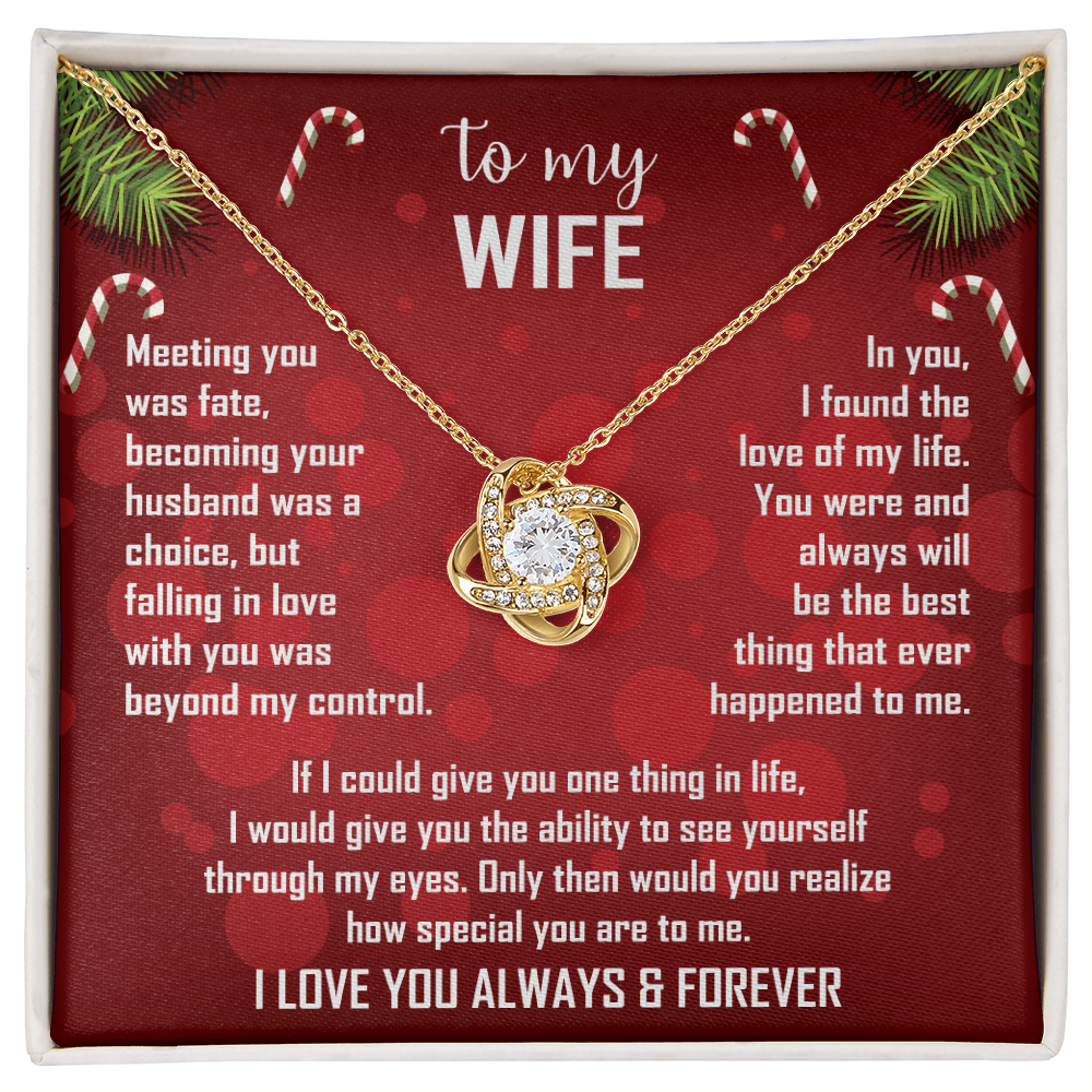 To My Wife Christmas Necklace — "Falling In Love With You Was Beyond My Control"