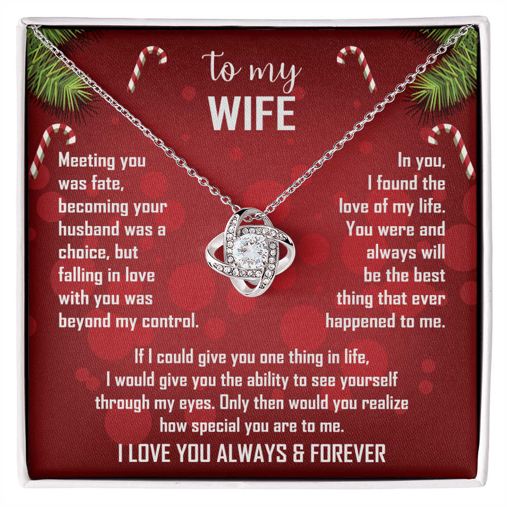 To My Wife Christmas Necklace — "Falling In Love With You Was Beyond My Control"