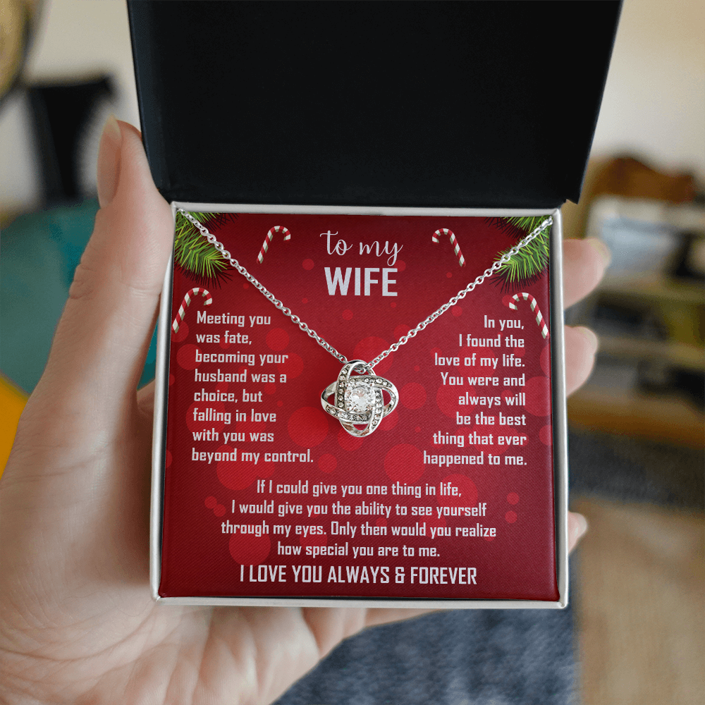 To My Wife Christmas Necklace — "Falling In Love With You Was Beyond My Control"