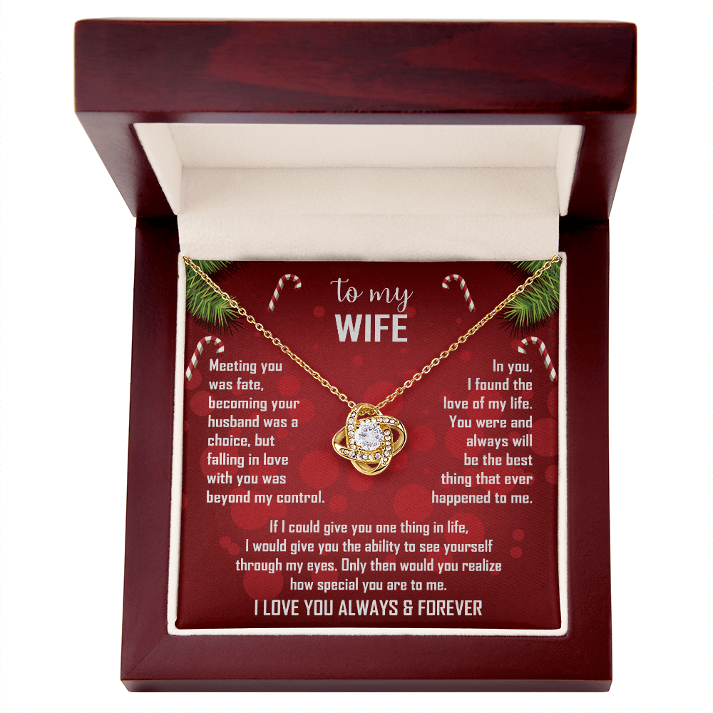 To My Wife Christmas Necklace — "Falling In Love With You Was Beyond My Control"