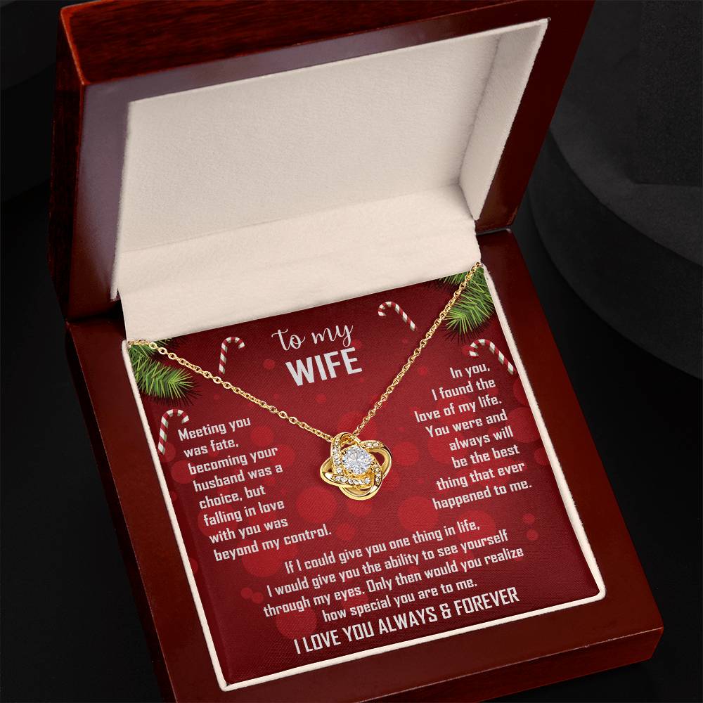 To My Wife Christmas Necklace — "Falling In Love With You Was Beyond My Control"