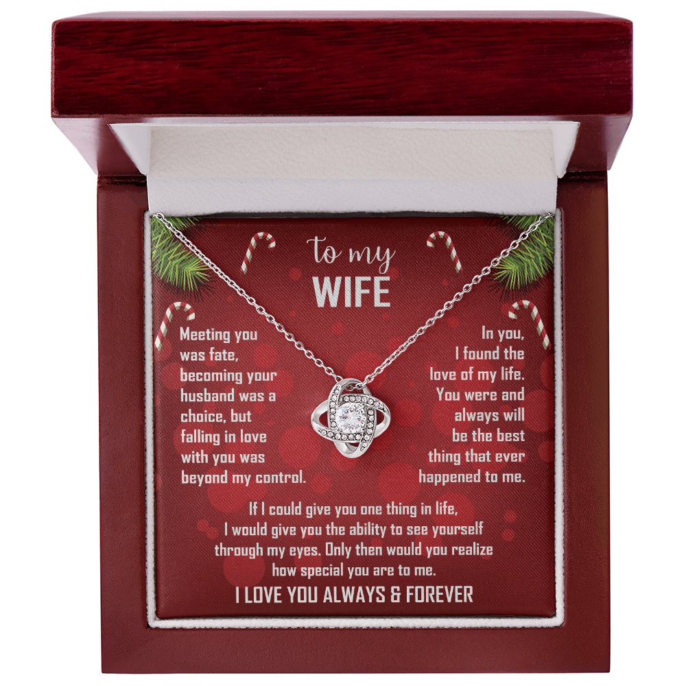 To My Wife Christmas Necklace — "Falling In Love With You Was Beyond My Control"